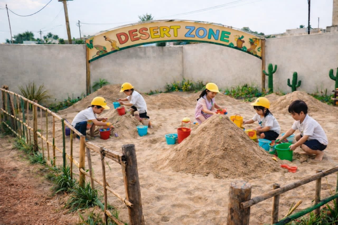 Desert Zone